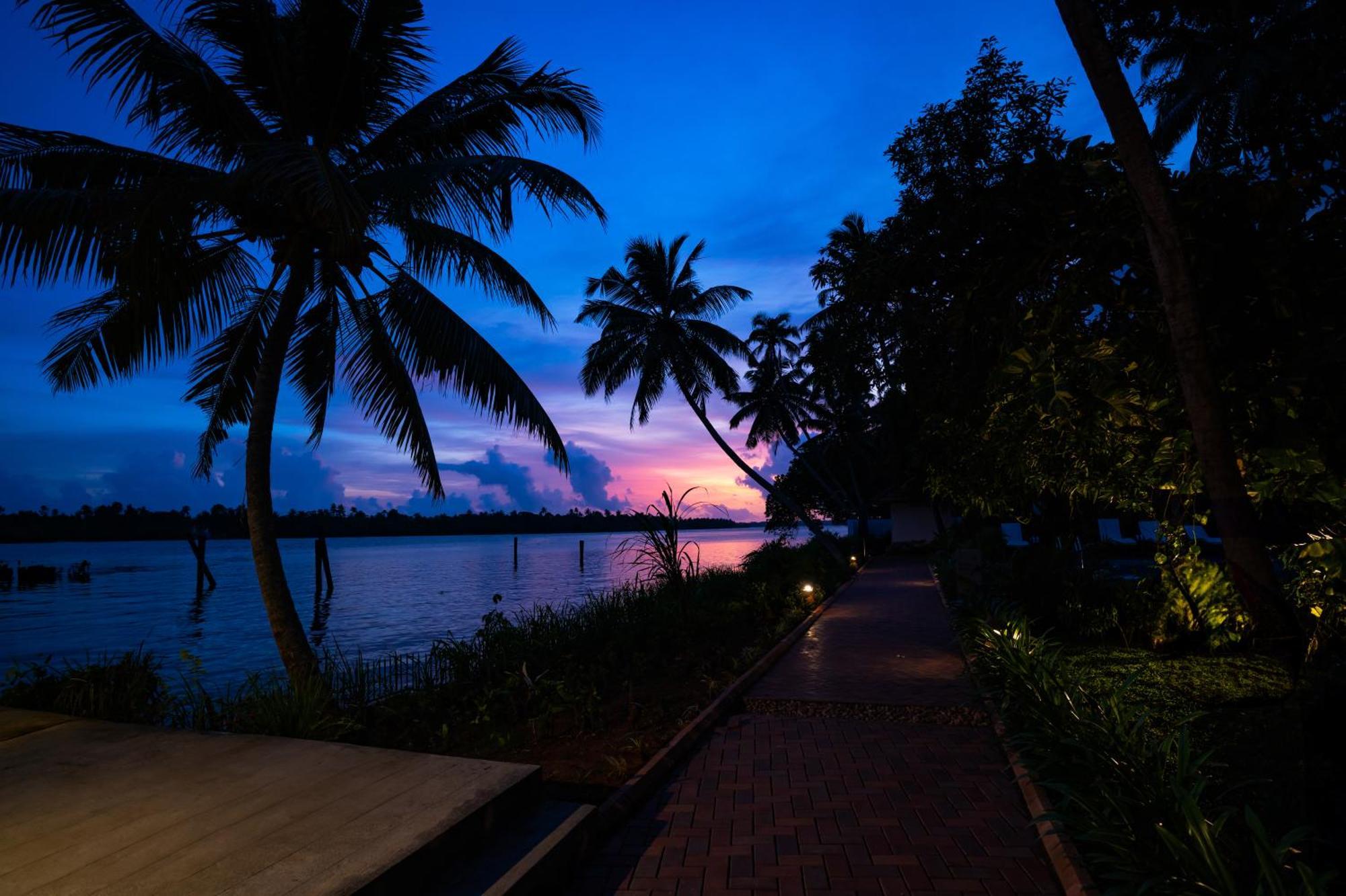 Vedic Village Retreat Kodungallur Kochi Buitenkant foto